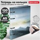 Тетрадь на кольцах А5 160х212 мм, 120 листов, картон, матовая ламинация, клетка, BRAUBERG, "В горах", 404724 404724