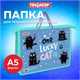 Папка на молнии с ручками ПИФАГОР А4, 1 отделение, пластик, ручки-шнурок, "Funny cats", 273353 273353