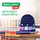Мешок для обуви BRAUBERG KIDS, светоотражающая полоса, 46х36 см, "Anti-gravity", 273437 273437