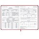 Дневник 1-11 класс 48 л., твердый, BRAUBERG, матовая ламинация, резинка, закладка-ляссе, с подсказом, "Мото", 107236 107236