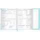 Дневник 1-11 класс 48 л., твердый, BRAUBERG, матовая ламинация, магнитный клапан, закладка-ляссе, с подсказом, "Котик", 107244 107244