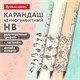 Карандаш чернографитный с принтом кросс-серия МИЛЫЕ КОТЫ, 1 шт., HB, ластик, ассорти, BRAUBERG, 182107 182107