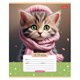 Тетрадь 12 л., HATBER клетка, обложка картон, "Мы - котики!" (микс в спайке), 086195, 12Т5В1 107425