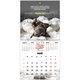 Календарь настенный перекидной 2026 г., BRAUBERG, 12 листов, 21,4х21,4 см, МИНИ, "Не падай духом", 116942 116942