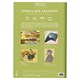 Папка для акварели А4, 10 л., 200 г/м2, 210х297 мм, BRAUBERG АКАДЕМИЯ, "Апельсины", 117743 117743