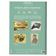Папка для акварели А4, 20 л., 200 г/м2, 210х297 мм, BRAUBERG АКАДЕМИЯ, "Оленёнок", 117746 117746