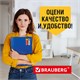 Папка на резинках BRAUBERG "Business", А4, 13 отделений, пластиковый индекс, синяя, 0,5 мм, 224146 224146