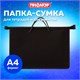 Папка на молнии с ручками ПИФАГОР, А4, 1 отделение, пластик, 55 мм, черная, 228236 228236
