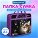 Папка на молнии с ручками BRAUBERG А4, 1 отделение, пластик, 80 мм, "Dream cat", 270868 270868