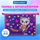 Папка для труда на молнии BRAUBERG А4, 2 отделения, органайзер, "Playing kitty", 270976 270976