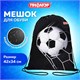 Мешок для обуви ПИФАГОР, 1 отделение, 42х34 см, "Ball kick", 272386 272386