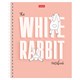 Тетрадь А5, 48 л., HATBER гребень, клетка, обложка картон, "Следуй за белым кроликом" (микс), 087016, 48Т5В1гр 405442