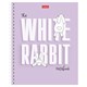 Тетрадь А5, 48 л., HATBER гребень, клетка, обложка картон, "Следуй за белым кроликом" (микс), 087016, 48Т5В1гр 405442
