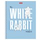 Тетрадь А5, 48 л., HATBER гребень, клетка, обложка картон, "Следуй за белым кроликом" (микс), 087016, 48Т5В1гр 405442
