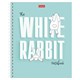 Тетрадь А5, 48 л., HATBER гребень, клетка, обложка картон, "Следуй за белым кроликом" (микс), 087016, 48Т5В1гр 405442