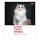 Тетрадь А5 48 л., HATBER скоба, клетка, обложка картон, "Котоюмор" (микс в спайке), 079790, 48Т5В1 405460