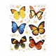 Украшение для окон и стекла ЗОЛОТАЯ СКАЗКА "Бабочки 3", 30х38 см, ПВХ, 591233 591233