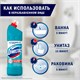 Средство чистящее DOMESTOS (Доместос) 1000мл, "Свежесть Атлантики", с отбеливающ. эффектом 600580
