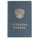 Бланк документа Трудовая книжка, 88х125 мм, ГОЗНАК 121229