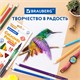 Карандаши цветные BRAUBERG PREMIUM 12 цветов + 1 чернографитный карандаш, трехгранные, грифель 3 мм, 181936 181936