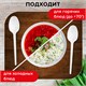 Ложка столовая одноразовая пластиковая 165 мм, белая, КОМПЛЕКТ 100 шт., СТАНДАРТ, LAIMA, 603079 603079