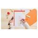 Карандаши цветные BIC "Kids ECOlutions Evolution", 18 цветов, пластиковые, заточенные, европодвес, 937513 181124