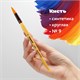 Кисть ПИФАГОР, СИНТЕТИКА, круглая, № 9, деревянная лакированная ручка, с колпачком, пакет с подвесом, 200849 200849