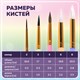 Кисти НАБОР 5 шт. (БЕЛКА круглая № 3; КОЗА круглые № 6, 8; ПОНИ круглые № 2, 5), BRAUBERG KIDS, 201080 201080