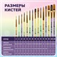 Кисти НАБОР 15 шт. (ПОНИ – 9 шт., СИНТЕТИКА – 4 шт., ЩЕТИНА – 2 шт.) BRAUBERG KIDS, 201081 201081