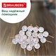 Силовые кнопки-гвоздики BRAUBERG CLEAR & GOLD, прозрачные с золотистым (шарики), 100 штук, 11 мм, 272760 272760