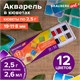 Акварель художественная в кюветах НАБОР 12 цветов по 2,5 г, BRAUBERG ART DEBUT, 191776 191776