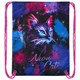 Мешок для обуви BRAUBERG PREMIUM, карман, подкладка, светоотражайка, 43х33 см, "НЕОН cat", 271621 271621