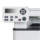 МФУ лазерное PANTUM M6700DW "3 в 1", А4, 30 стр./мин., 60000 стр./мес., ДУПЛЕКС, Wi-Fi, сетевая карта 354708