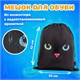 Папка на молнии с ручками А4, мешок для обуви 42х33 см, пенал 20х10 см, "Black cat" НАБОР BRAUBERG, 271434 271434