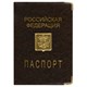 Обложка для паспорта, металлический шильд с гербом, ПВХ, ассорти, STAFF, 237579 237579