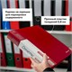 Папка 60 вкладышей BRAUBERG стандарт, красная, 0,8 мм, 228683 228683