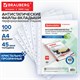 Папки-файлы перфорированные, А4, BRAUBERG "STANDARD", комплект 100 шт., гладкие, 45 мкм, 226831 226831