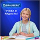 Набор чертежный большой BRAUBERG "FRUITY" (линейка 30 см, 2 треугольника, транспортир), ассорти, пенал, 210772 210772