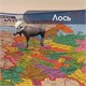 Карта России политико-административная 101х70 см, 1:8,5М, интерактивная, в тубусе, BRAUBERG, 112396 112396 - фото 50042