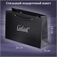 Ручка шариковая GALANT "Marburg", корпус серебристый, ежедневник недатированный А5 черный, пакет, 880905 880905