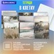 Тетради предметные, КОМПЛЕКТ 12 ПРЕДМЕТОВ, 48 л., SoftTouch, BRAUBERG, "ESTHETICS", 404833 404833