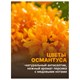 Средство для мытья посуды 450 мл, AOS "Османтус" 702641