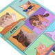 Дневник 5-11 класс 48 л., твердый, FUNSTER (ФАНСТЕР), выборочный лак, с подсказом, "Мемные коты", 107617 107617