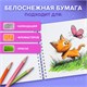 Альбом для рисования, пластиковая обложка, А4, 40 л., гребень, BRAUBERG, 210х297 мм, АССОРТИ-2 (8 видов), 107683 107683