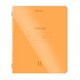 Тетрадь пластиковая обложка (НЕОН) 12 листов, косая линия, BRAUBERG "Smart Cover", АССОРТИ (микс в спайке), 405027 405027