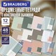 Тетради предметные, КОМПЛЕКТ 12 ПРЕДМЕТОВ 48 л., пластиковая обложка, BRAUBERG "MonoPastel", 405540 405540