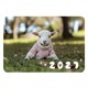 Календарь карманный на 2027 г, BRAUBERG, 64х93 мм, АССОРТИ, 20 дизайнов (60 штук), 118489 118489