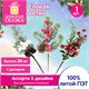 Еловые ветви искусственные, 1 ШТУКА, 26 см, литой ПЭТ, с ягодами, ассорти, ЗОЛОТАЯ СКАЗКА, 592858 592858