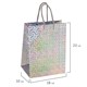 Пакет подарочный 18x10x23 см (M), НАБОР 10 шт., 5 дизайнов, голография, ЗОЛОТАЯ СКАЗКА, 609733 609733