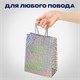Пакет подарочный 18x10x23 см (M), НАБОР 10 шт., 5 дизайнов, голография, ЗОЛОТАЯ СКАЗКА, 609733 609733